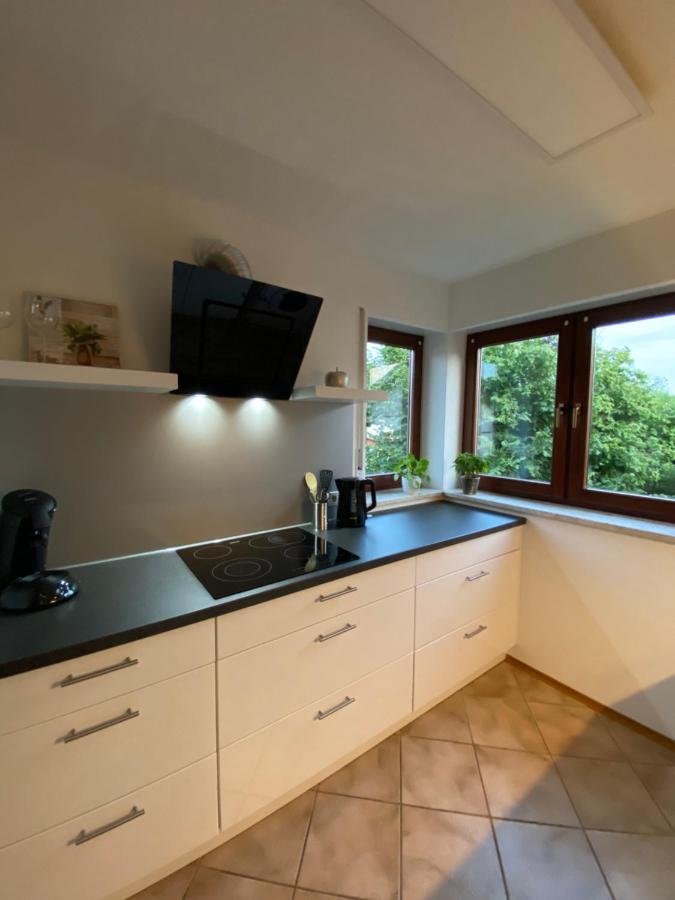 Elviras Apartment Singen Bilik gambar