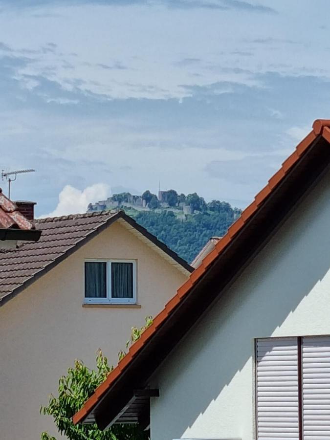 Elviras Apartment Singen Bilik gambar